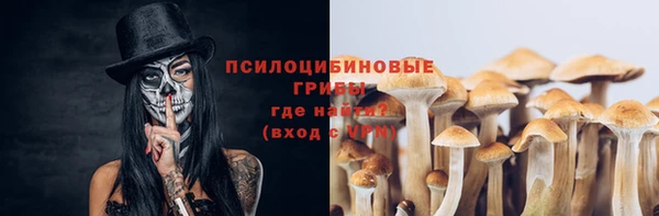 ПСИЛОЦИБИНОВЫЕ ГРИБЫ Алексеевка