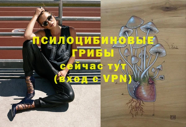 spice Алзамай