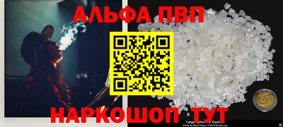 прущие грибы Долгопрудный