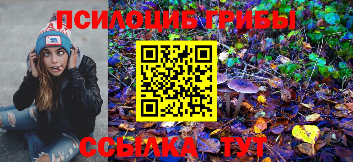 Псилоцибиновые грибы Cubensis  Псилоцибиновые грибы Cubensis  Вход с VPN  Лобня 